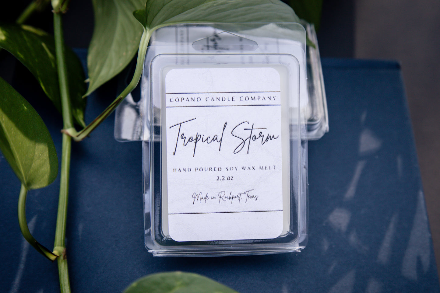 Tropical Storm - Wax Melt